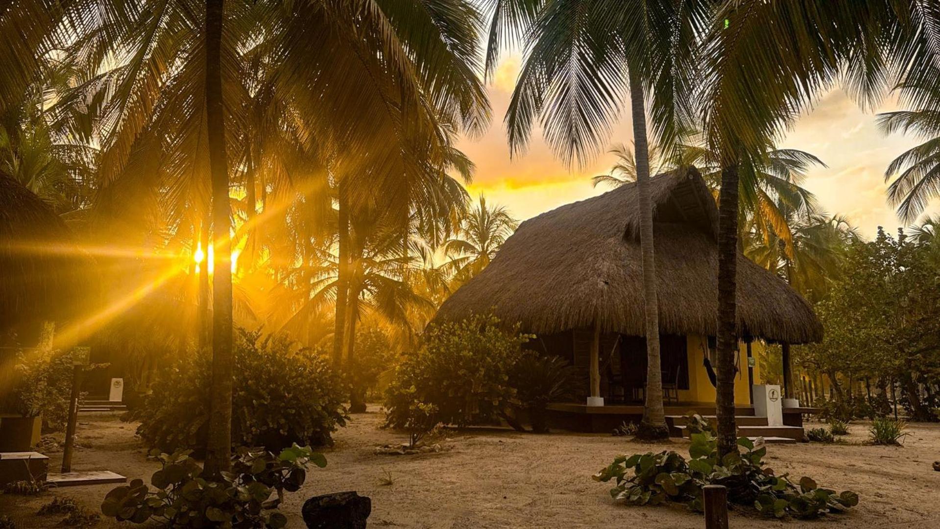 Aite Eco Resort Паломино Экстерьер фото
