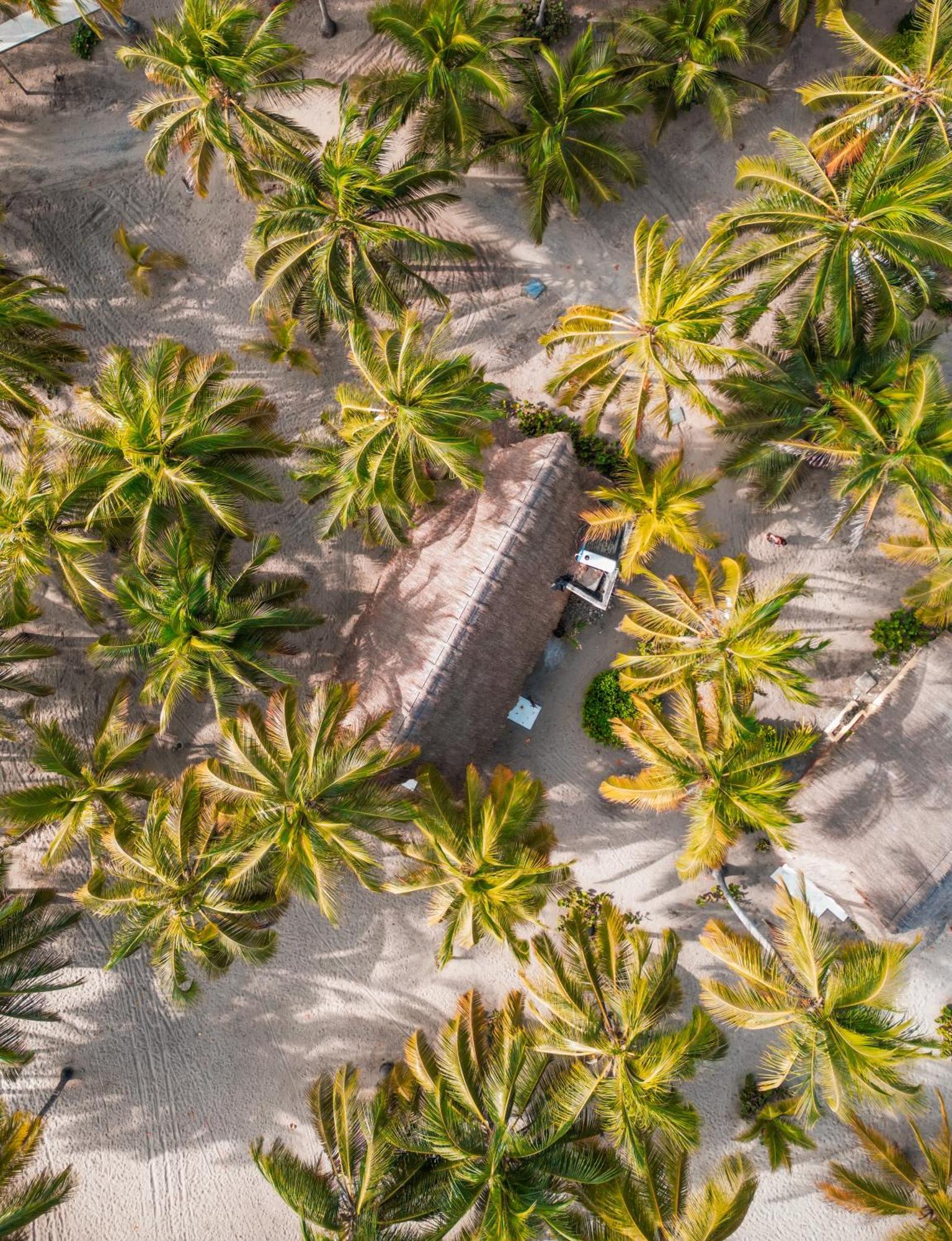 Aite Eco Resort Паломино Экстерьер фото